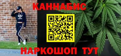 молекула духа Будённовск