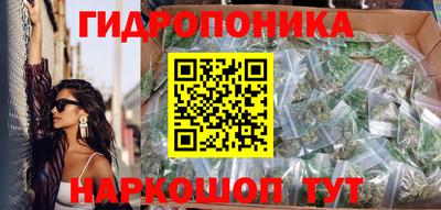 молекула духа Будённовск