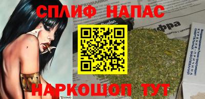 молекула духа Будённовск