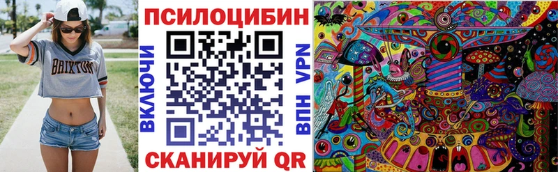 ОМГ ОМГ ссылка  Егорьевск  Псилоцибиновые грибы Psilocybine cubensis  наркота 