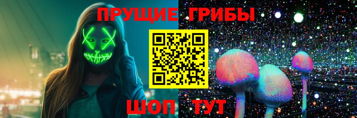 Галлюциногенные грибы Psilocybine cubensis  Галлюциногенные грибы Magic Shrooms  Егорьевск 