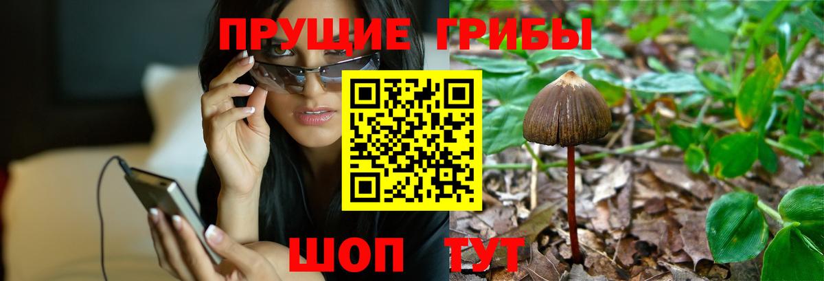 Егорьевск  Галлюциногенные грибы MAGIC MUSHROOMS  Вход с VPN 