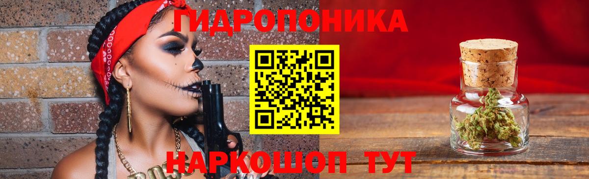 Конопля семена  Егорьевск  Конопля VHQ  Канабис THC 21% 